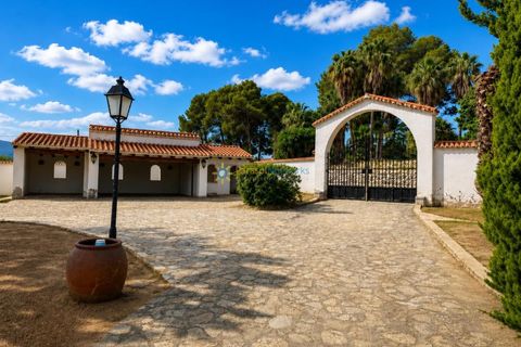 Villa i Ontinyent, Valencia, Ontinyent - € 440.000 | Ref: PNVL2180 - foto 50